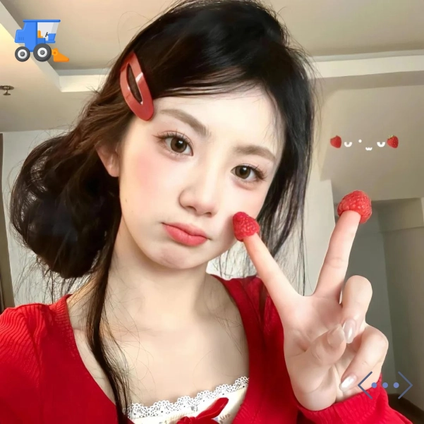 林芳女士
